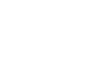 Bird Korea